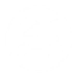 strategic campaigns icon